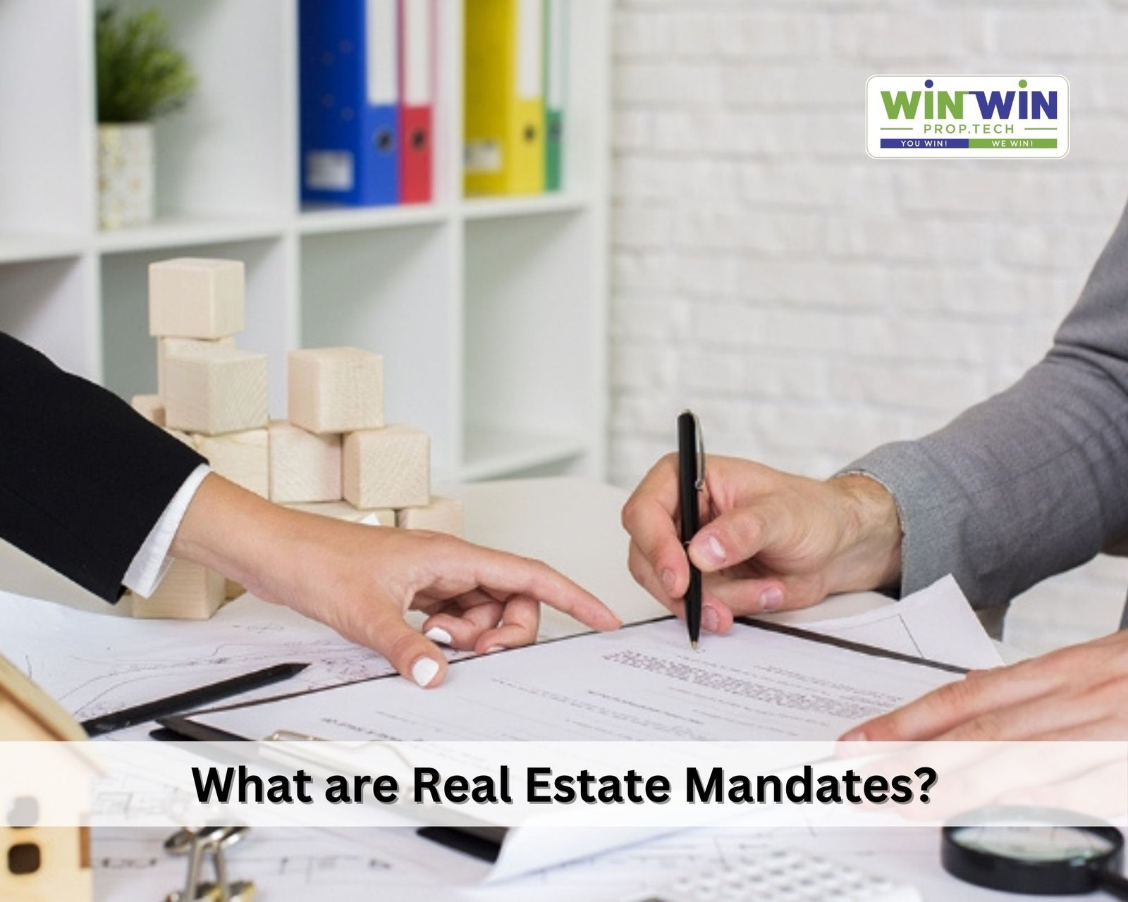 What are Real Estate Mandates?