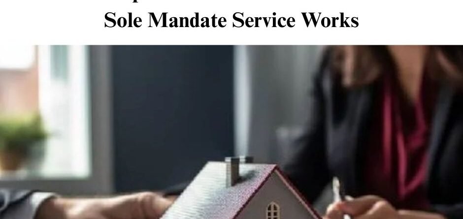 Our Process: A Transparent Look at How Winwin's Sole Mandate Service Works