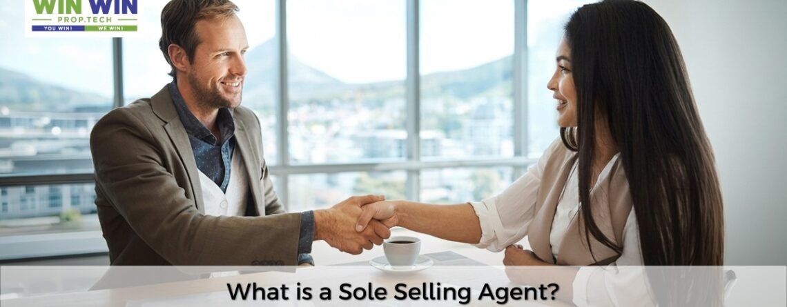 What is a Sole Selling Agent? Benefits for Pune Builders